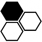 hexagonal profil fotoğrafı