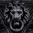 aslanbeg profil fotoğrafı