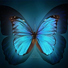 ampule kafa atan kelebek profil fotoğrafı