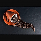 bi kahve profil fotoğrafı