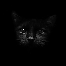 kedivegece profil fotoğrafı