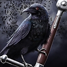 black crow profil fotoğrafı