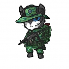 kedi astsubay profil fotoğrafı