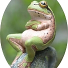 j den hayvan jelibon profil fotoğrafı