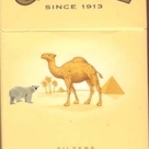 mustafa camel profil fotoğrafı