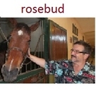 mapavrili rosebud profil fotoğrafı