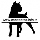 canecorso profil fotoğrafı